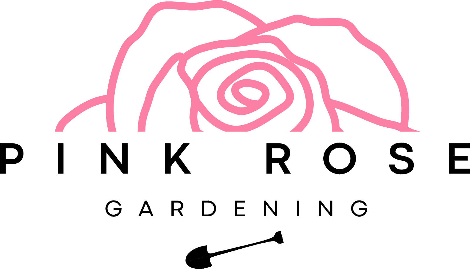 Pink Rose Gardening